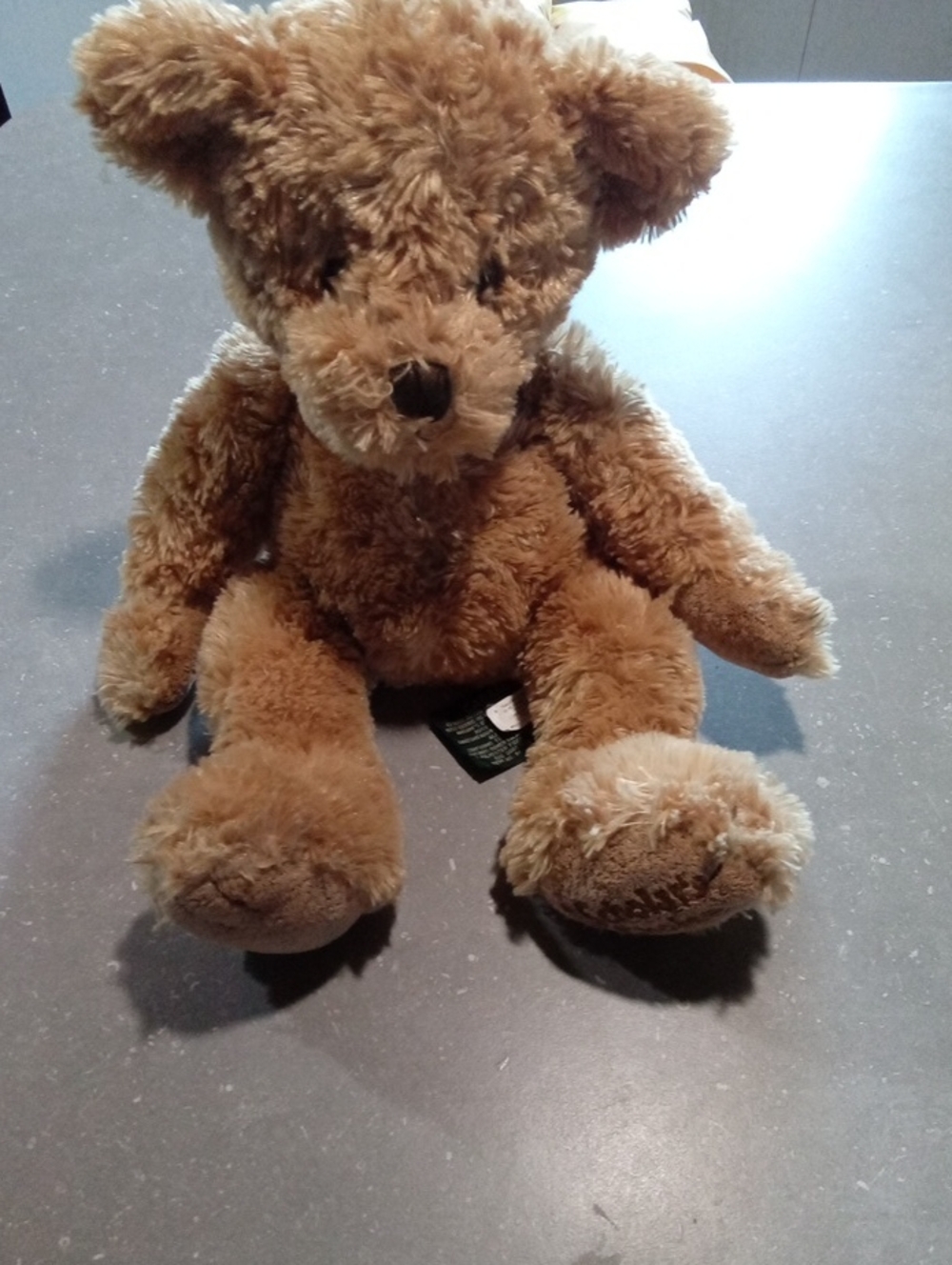 Vintage Scholars Choice Caramel The Bear